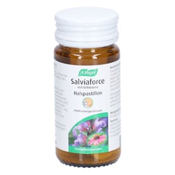 A Vogel Salviaforce Echina