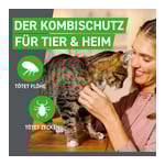 Frontline Combo Spot On Katze
