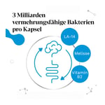 IBEROBIOTICS Zen Kapseln Produktbild 6