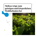 IBEROBIOTICS Zen Kapseln Produktbild 7