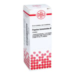 POPULUS TREMULOIDES Urtinktur Produktbild 1