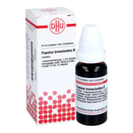 POPULUS TREMULOIDES Urtinktur Produktbild 3
