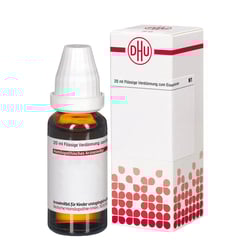 Artemisia Vulgaris Urtinkt