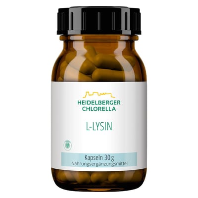 L Lysin