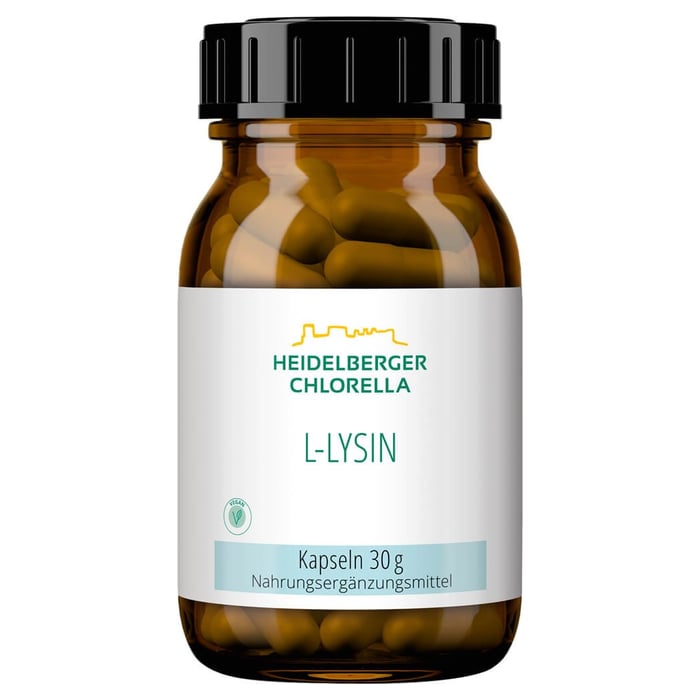 L Lysin
