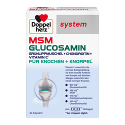 Doppelherz MSM Glucosamin system