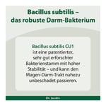 Bacillus subtilis plus Nattokinase-Enzym Vitamin K2 vegan Produktbild 6