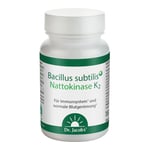 Bacillus subtilis plus Nattokinase-Enzym Vitamin K2 vegan