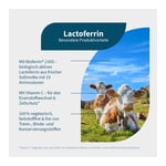 Lactoferrin