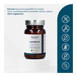 Lactoferrin