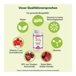 Dr. Jacob's Diosmin OPC ProVenis Polyphenole Acerola Produktbild 4