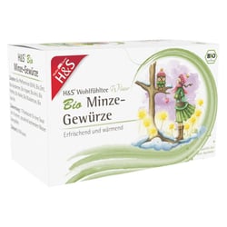 H&S Wintertee Bio Minze-Gewürze Filterbeutel