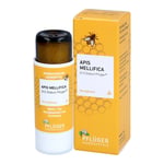 Apis mellifica D12 Globuli Pflüger Dosierspender Produktbild 4