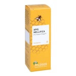 Apis mellifica D12 Globuli Pflüger Dosierspender Produktbild 1