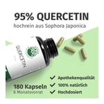 Green Naturals Quercetin 500 mg hochdosiert Kapseln Produktbild 2