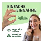 Green Naturals Quercetin 500 mg hochdosiert Kapseln Produktbild 5