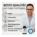 Green Naturals Quercetin 500 mg hochdosiert Kapseln Produktbild 6