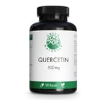 Green Naturals Quercetin 500 mg hochdosiert Kapseln