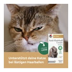 Doppelherz für Tiere Anti-Hairball Complex Katzen