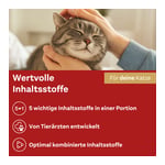 Doppelherz für Tiere Anti-Hairball Complex Katzen