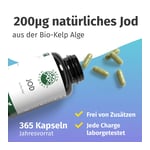 Green Naturals Jod aus Bio-Kelp 200 g Kapseln Produktbild 2