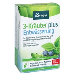 Kneipp 3-Kräuter plus Entwässerung