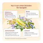 Aprigold Pulver+kapsel Set