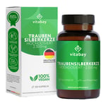 Traubensilberke Ext2500 mg Produktbild 1
