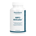NRF2 Aktivator Grüntee+Curcuma+Quercetin vegan Kps