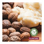 Plantana Shea Körpercreme Sheabutter mit Vitamin-E