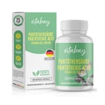 Panthothensae 500 mg Vit B5