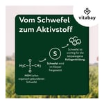 Msm 1000 mg Methylsulfo Veg Produktbild 6