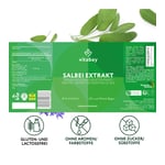 Salbei Extrakt 1900 mg