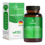 Salbei Extrakt 1900 mg
