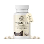 Vitamin B Komp Hund+katze