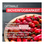 Gelencium Curcuma Plus Produktbild 4