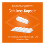 B-KOMPLEX Verla purKaps