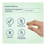 Eisen + C Hevert pflanzlich Produktbild 5