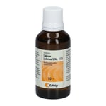 Synergon Calcium Jod S 133