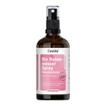 Rosenwasser Spray Rosenhydrolat bio