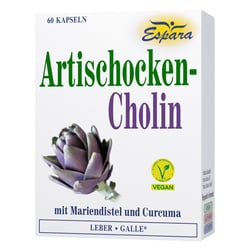 Artischocken Cholin Kapseln