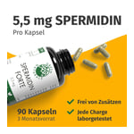 Green Naturals Spermidin Forte 5,5 mg vegan Kapseln Produktbild 2
