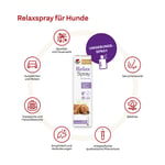 Doppelherz für Tiere Relaxspray für Hunde