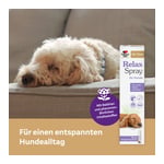 Doppelherz für Tiere Relaxspray für Hunde