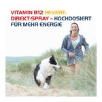 Vitamin B12 Hevert Direkt-Spray Produktbild 2