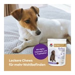 Doppelherz für Tiere Relax Complex für Hunde