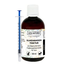 Ulmenrinden Tin Seb M Spr