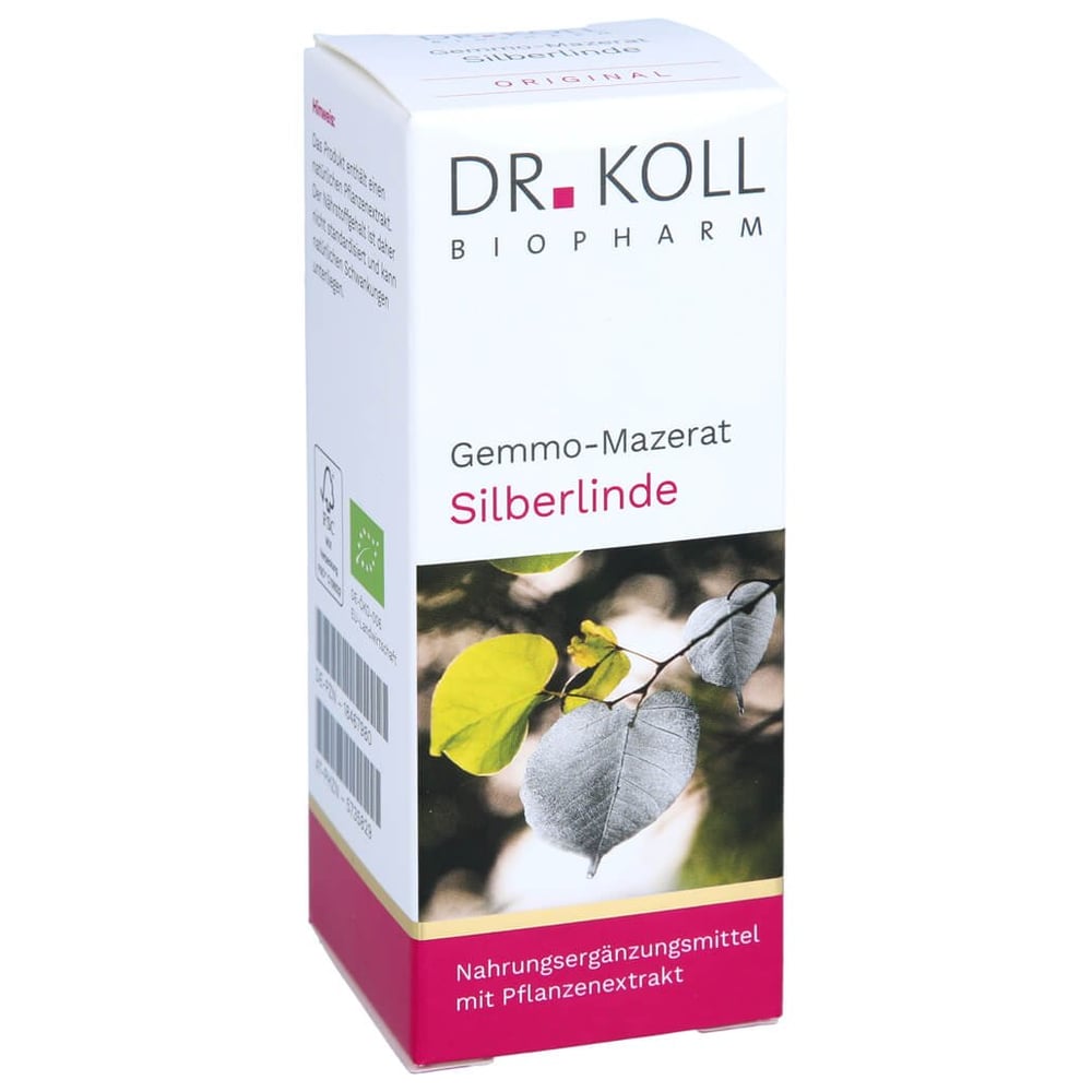 Gemmo Mazerat Silberlinde Dr.Koll Tilia tomentosa