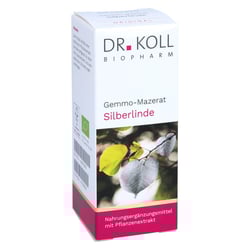 Gemmo Mazerat Silberlinde Dr.Koll Tilia tomentosa