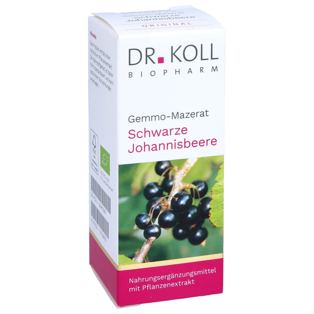 Gemmo Mazerat schwarze Johannisbeere Dr.Koll Ribes